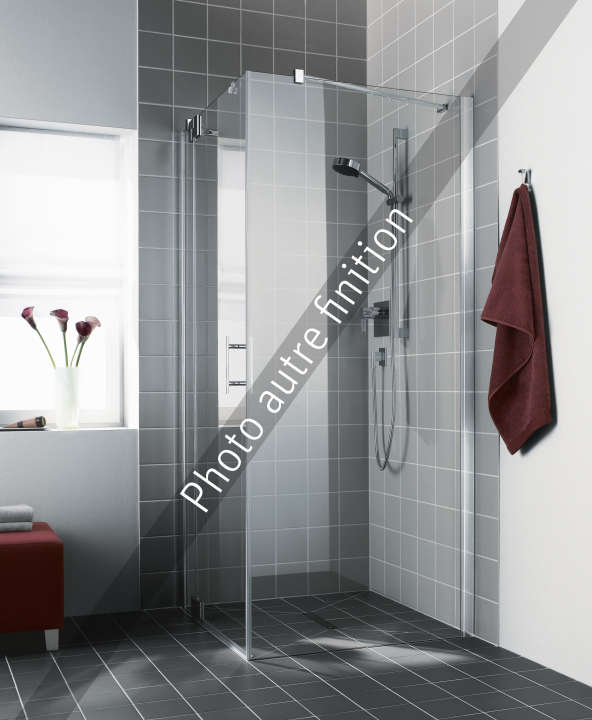 Photo Paroi de douche fixe FILIA XP FXTWD L100 2M argent poli v.gris clean