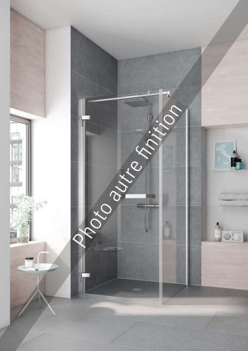 Photo Paroi de douche fixe TUSCA TUTWP L103 2M argent poli v.gris