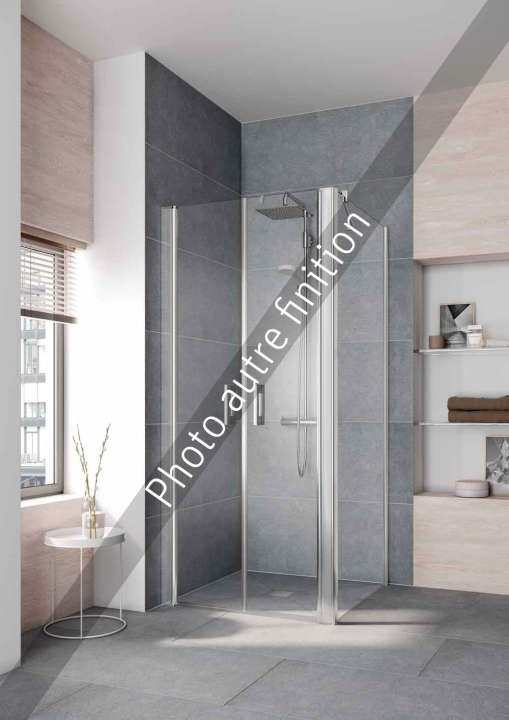 Photo Paroi de douche fixe PEGA PETWD L110 2M argent poli v.gris