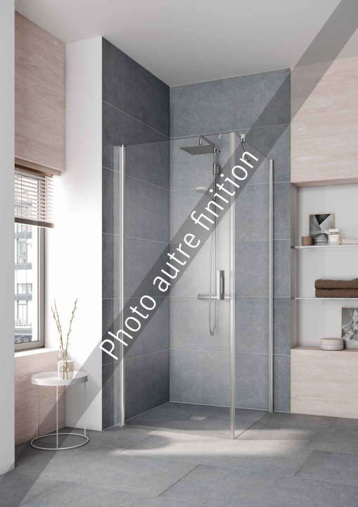 Photo Paroi de douche fixe PEGA PETWO L110 2M argent poli v.opaco
