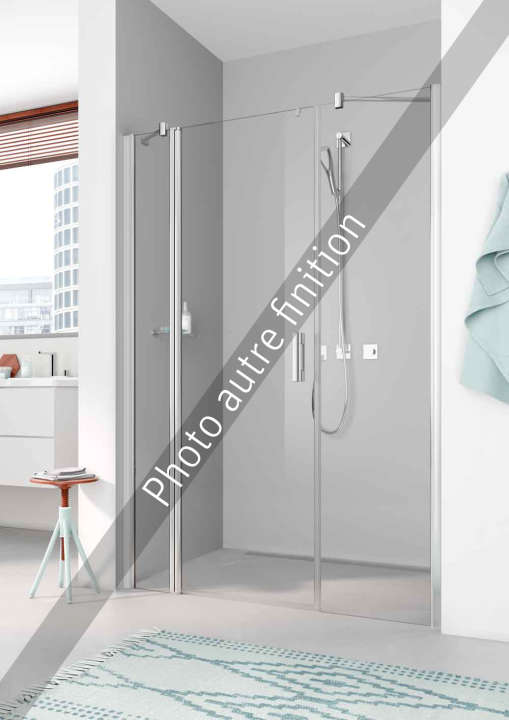Photo Paroi de douche pivotante PEGA PE1AL L113 2M argent poli v.clair clean
