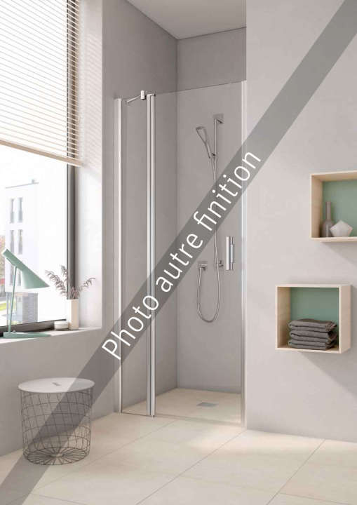 Photo Paroi de douche pivotante PEGA PE1GL L110 2M argent poli v.gris