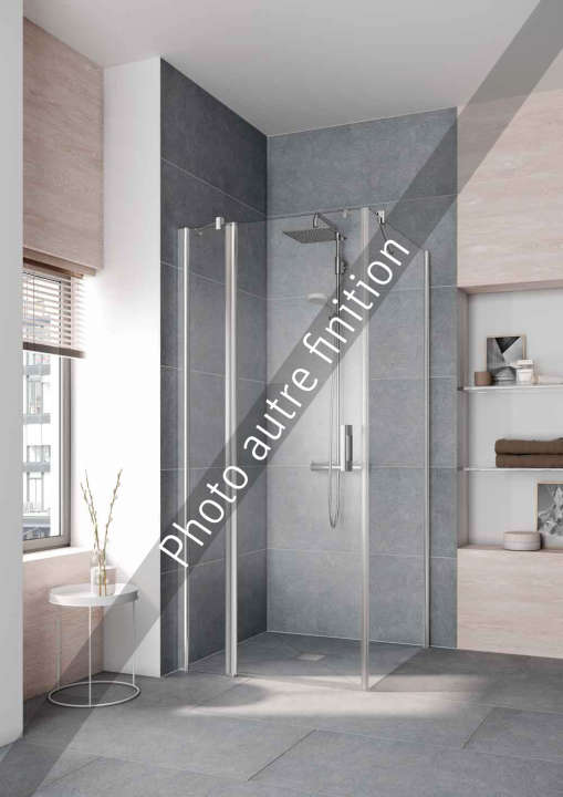 Photo Paroi de douche pivotante PEGA PE1NL L93 2M argent poli v.diamant