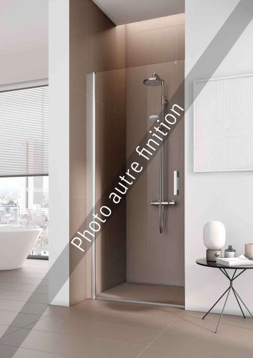 Photo Paroi de douche pivotante PEGA PE1TR L100 2M argent poli v.gris clean