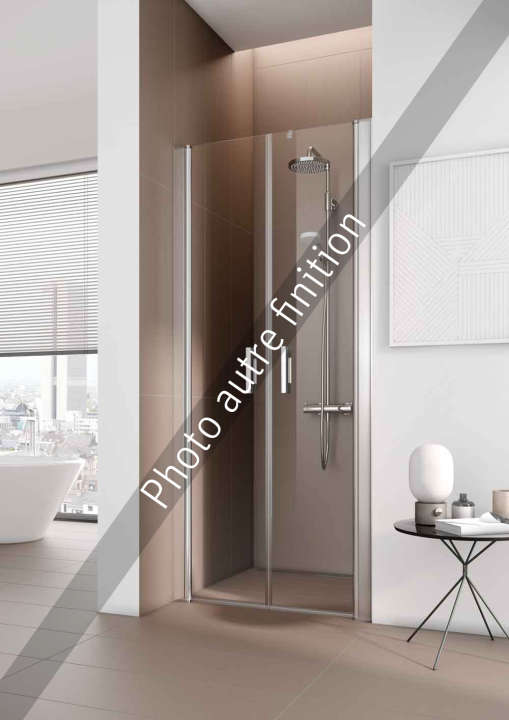 Photo Paroi de douche 2 battants PEGA PEPTD L80 2M argent poli v.gris