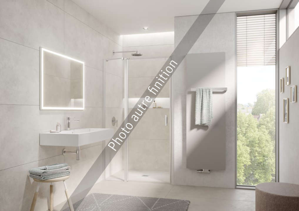 Photo Paroi de douche pivotante LIGA LI1GL L105 2M argent mat v.clair