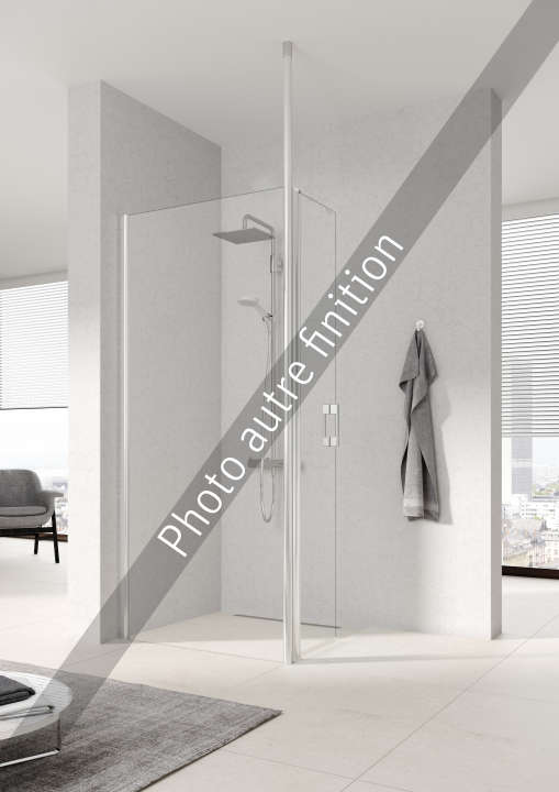 Photo Paroi de douche walk-in PEGA PETWG L120 2M argent poli v.gris
