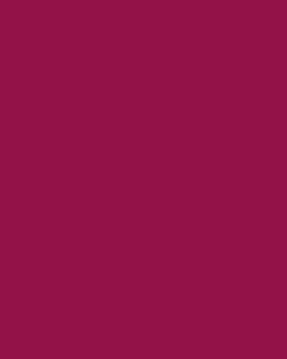 Photo Panneau mural douche VIPANEL COULEUR UNIE LIE DE VIN VEL. 1000x2550x3MM