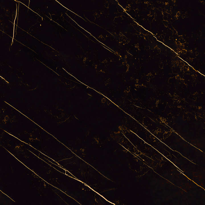 Photo Panneau mural douche NU VIPANEL CARISSIMA ECLAT DORE BRI. 1500x2550x3MM