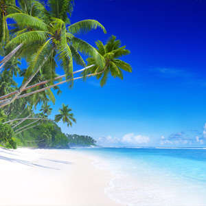 Photo Panneau mural VIPANEL INSPIRATION NATURE PLAGE BRI. 1500x2550MM 3MM