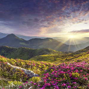 Photo Panneau mural douche NU VIPANEL INSPIRATION NATURE LEV SOL MT BRI. 1000x2550x3MM
