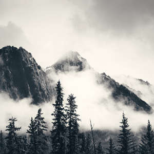 Photo Panneau mural douche VIPANEL INSPIRATION NATURE MONTAG BRU BRI. 1500x2550x3MM