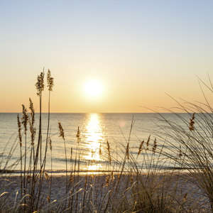 Photo Panneau mural NU VIPANEL INSPIRATION NATURE LEVER DE SOLEIL BRI. 1500x2550MM 3MM