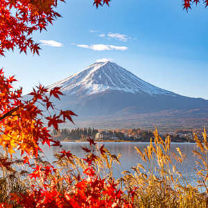 Photo Panneau mural douche VIPANEL INSPIRATION NATURE MONT FUJI BRI. 1000x2550x3MM