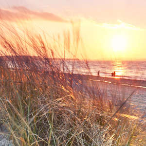 Photo Panneau mural NU VIPANEL INSPIRATION NATURE DUNE BORD MER BRI. 1500x2550MM 3MM