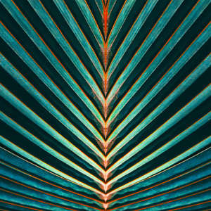 Photo Panneau mural NU VIPANEL INSPIRATION NATURE EXOTIQUE BRI. 1000x2550MM 3MM