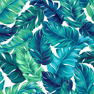 Photo Panneau mural VIPANEL INSPIRATION NATURE FEUILLE EXOTIQ VEL. 1500x2550MM 3MM