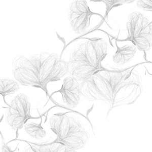 Photo Panneau mural VIPANEL INSPIRATION NATURE CROQUIS FLEUR VEL. 1500x2550MM 3MM