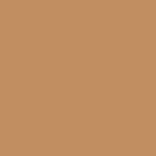 Photo Panneau mural douche NU VIPANEL COULEUR UNIE Pantone 729 VEL. 1500x2550x3MM