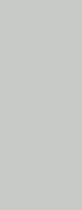 Photo Panneau mural douche NU VIPANEL COULEUR UNIE Pantone 420 C VEL. 1000x2550x3MM