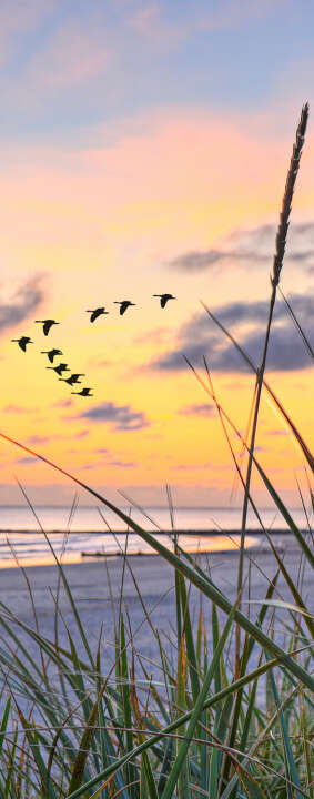 Photo Panneau mural douche VIPANEL INSPIRATION NATURE MER2 BRI. 1000x2550x3MM