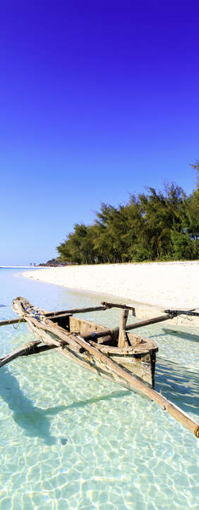 Photo Panneau mural douche VIPANEL INSPIRATION NATURE BT PÊC TRO BRI. 1000x2550x3MM