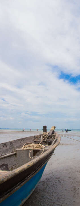 Photo Panneau mural douche NU VIPANEL INSPIRATION NATURE BATEAU BRI. 1000x2550x3MM