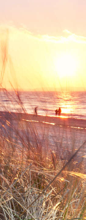 Photo Panneau mural douche NU VIPANEL INSPIRATION NATURE DUNE B MER BRI. 1000x2550x3MM