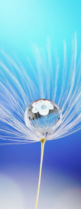 Photo Panneau mural douche VIPANEL INSPIRATION NATURE GOUT EAU BRI. 1000x2550x3MM