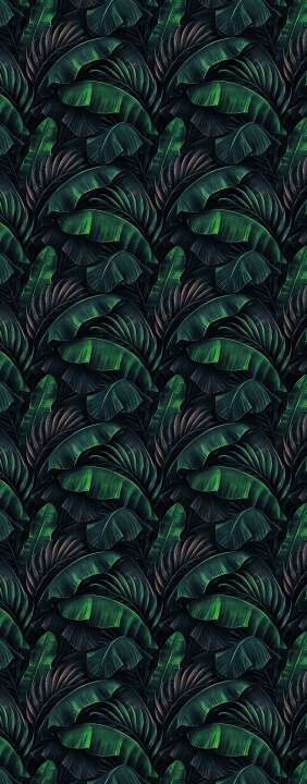 Photo Panneau mural douche NU VIPANEL INSPIRATION NATURE TROPICAL NE MAT 1000x2550x3MM