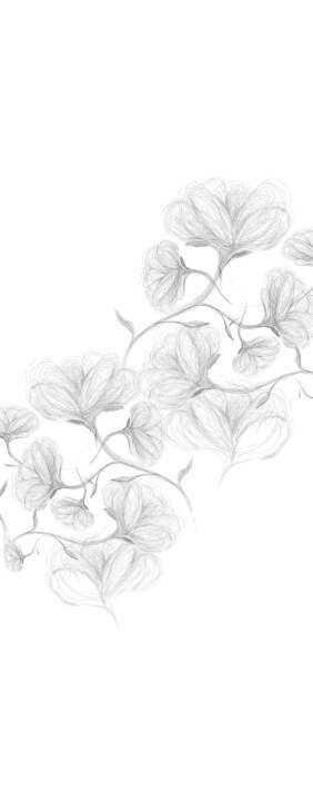 Photo Panneau mural douche VIPANEL INSPIRATION NATURE CROQUIS FL VEL. 1000x2550x3MM