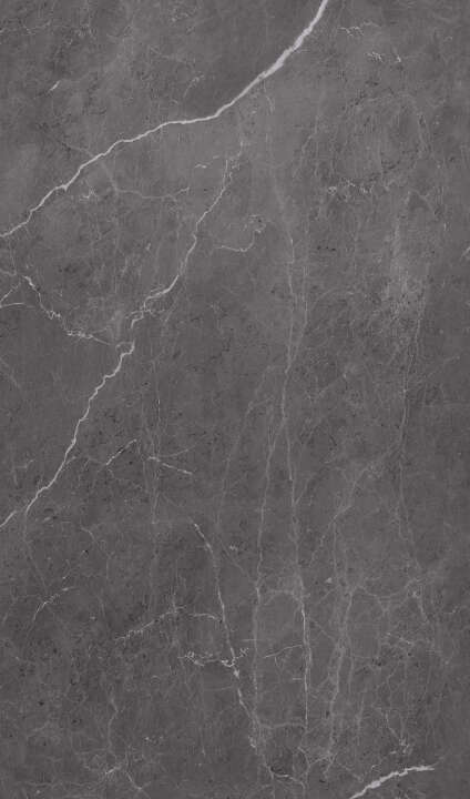 Photo Panneau mural douche NU VIPANEL ARAGON NOIR BRI. 1500x2550x3MM