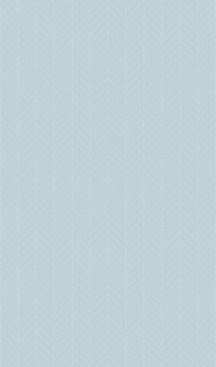 Photo Panneau mural douche VIPANEL CARISSIMA CHEVR MENTH BRI. 1500x2550x3MM