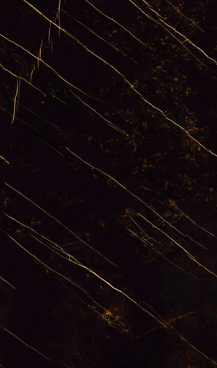 Photo Panneau mural douche NU VIPANEL CARISSIMA ECLAT DORE BRI. 1500x2550x3MM