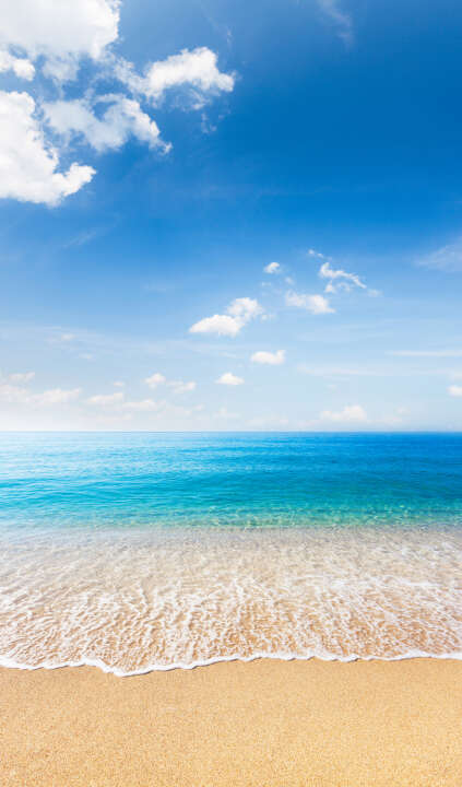 Photo Panneau mural douche NU VIPANEL INSPIRATION NATURE MER 1 BRI. 1500x2550x3MM