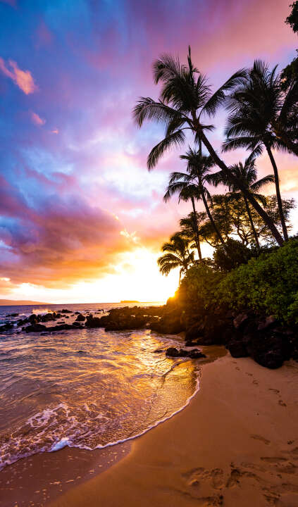 Photo Panneau mural douche NU VIPANEL INSPIRATION NATURE COUCH SOL1 BRI. 1500x2550x3MM