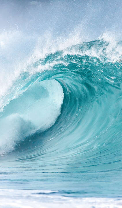 Photo Panneau mural douche VIPANEL INSPIRATION NATURE VAGUE BRI. 1500x2550x3MM