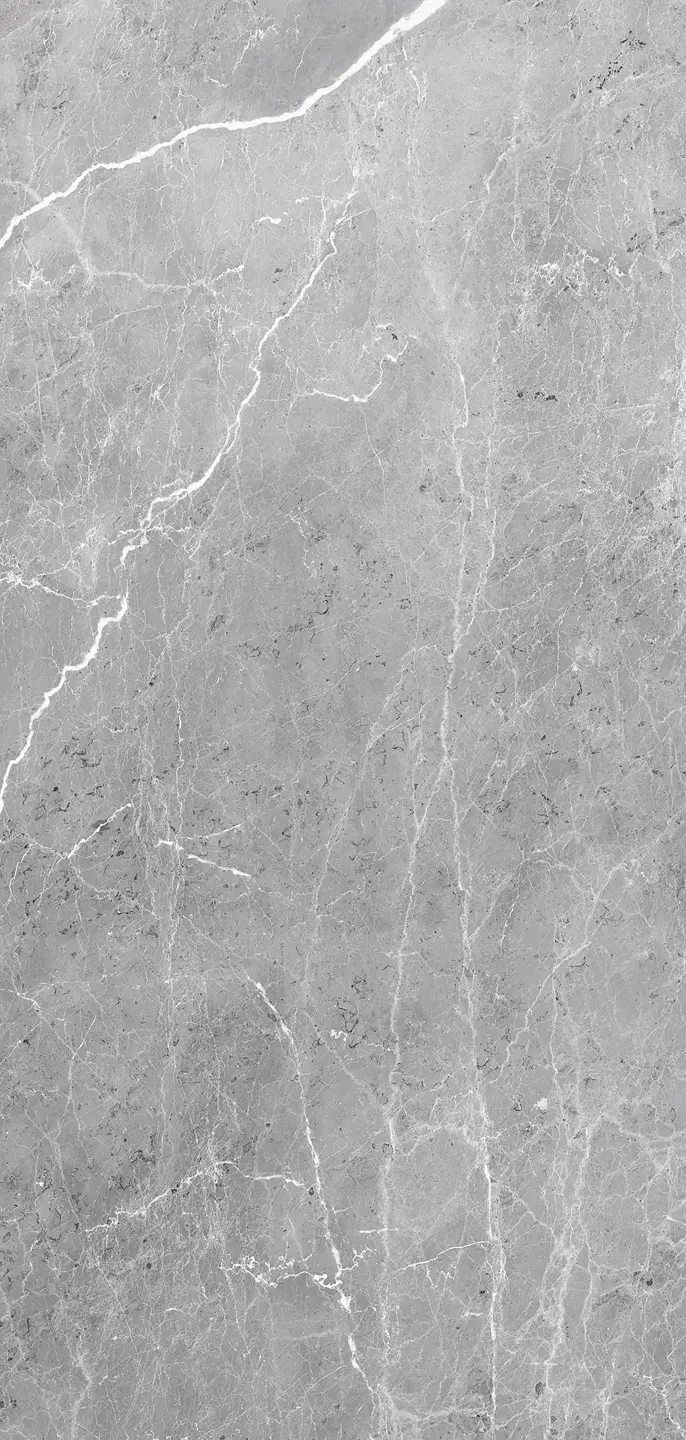 Panneau mural VIPANEL ARAGON ANTHRACITE BRI. 1000x2100MM 3MM|Revêtement pour salle de bain