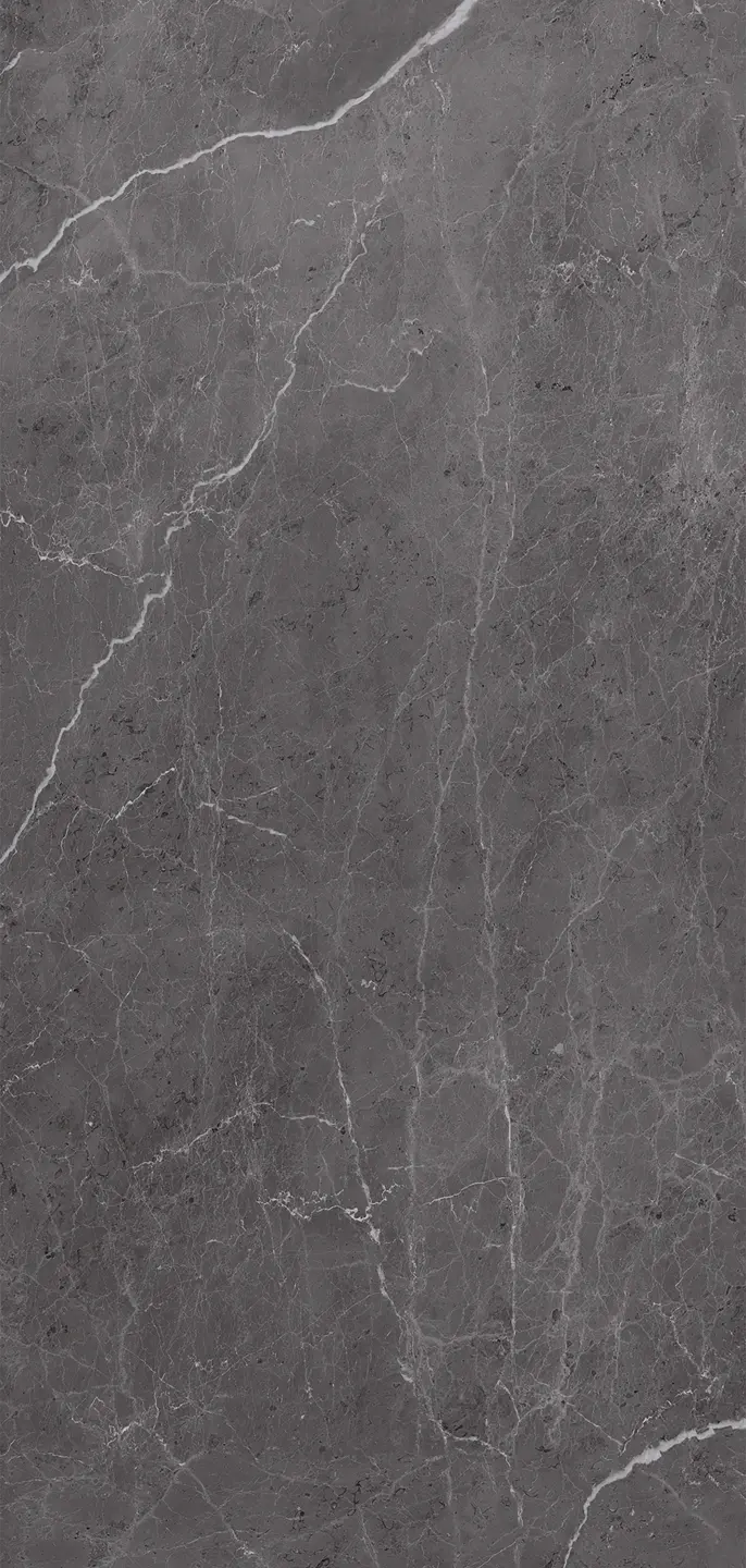 Panneau mural VIPANEL ARAGON NOIR BRI. 1000x2100MM 3MM|Revêtement pour salle de bain