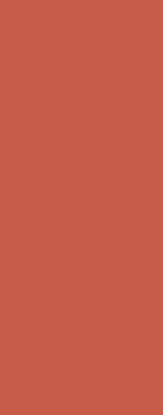 Panneau mural douche VIPANEL COULEUR UNIE TERRACOTTA VEL. 1000x2550x3MM|Revêtement pour salle de bain