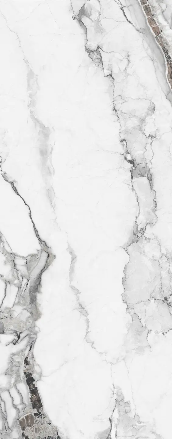 Photo Panneau mural douche NU VIPANEL CARISSIMA IVORY CASCADE BRI. 1000x2550x3MM