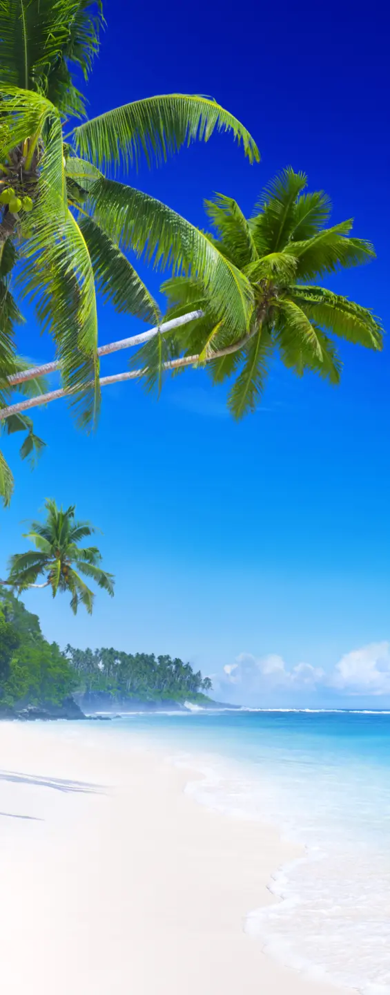 Panneau mural douche VIPANEL INSPIRATION NATURE PLAGE BRI. 1000x2550x3MM|Revêtement pour salle de bain