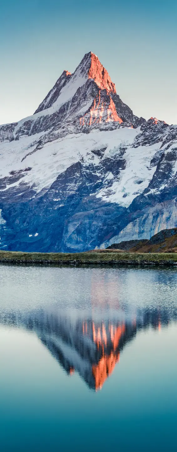 Panneau mural douche VIPANEL INSPIRATION NATURE REFLET MON BRI. 1000x2550x3MM|Revêtement pour salle de bain