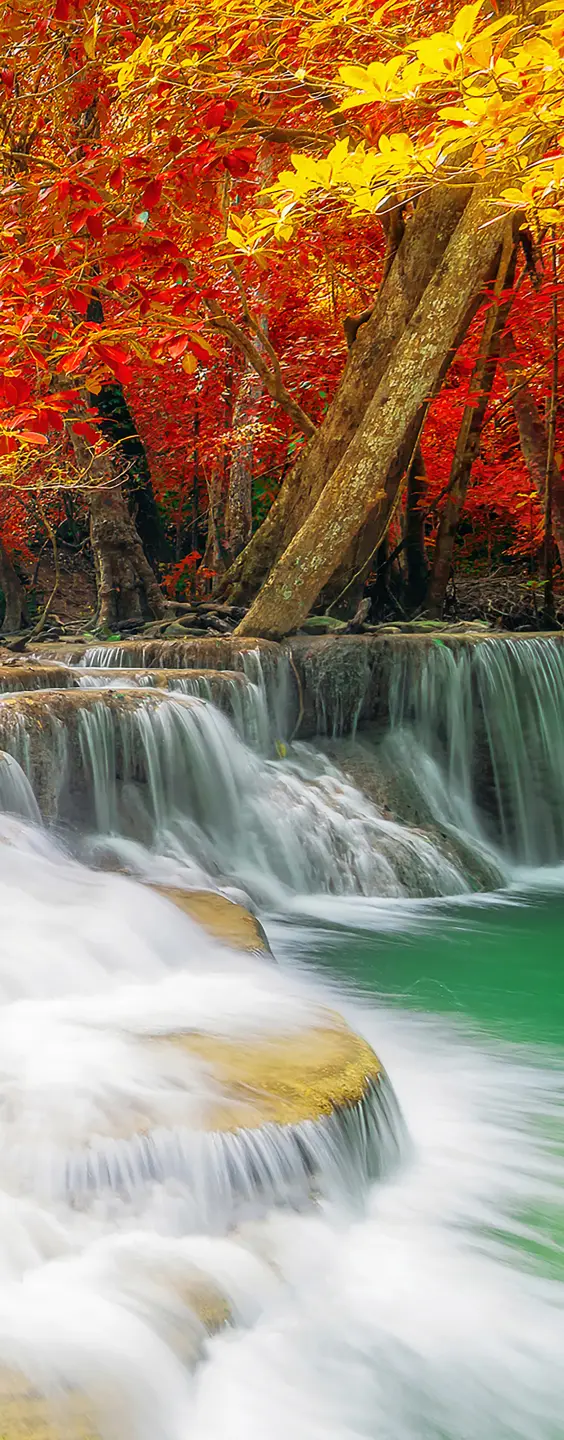 Panneau mural douche VIPANEL INSPIRATION NATURE CHUTE EAU3 BRI. 1000x2550x3MM|Revêtement pour salle de bain