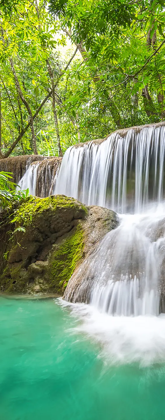 Photo Panneau mural douche NU VIPANEL INSPIRATION NATURE CHUTE EAU4 BRI. 1000x2550x3MM