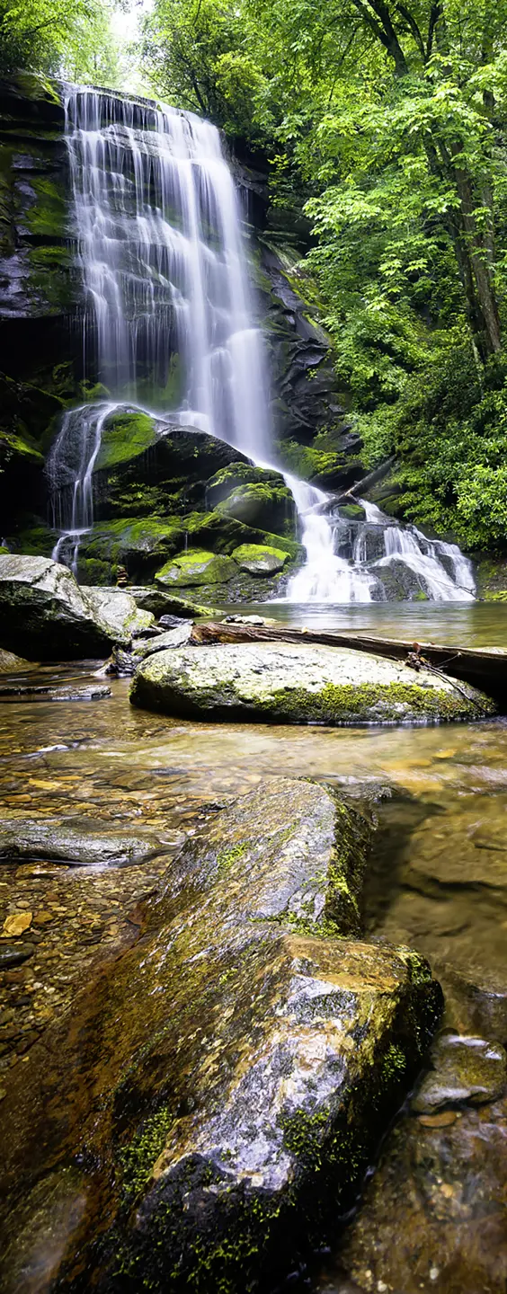 Photo Panneau mural douche NU VIPANEL INSPIRATION NATURE CHUTE EAU5 BRI. 1000x2550x3MM