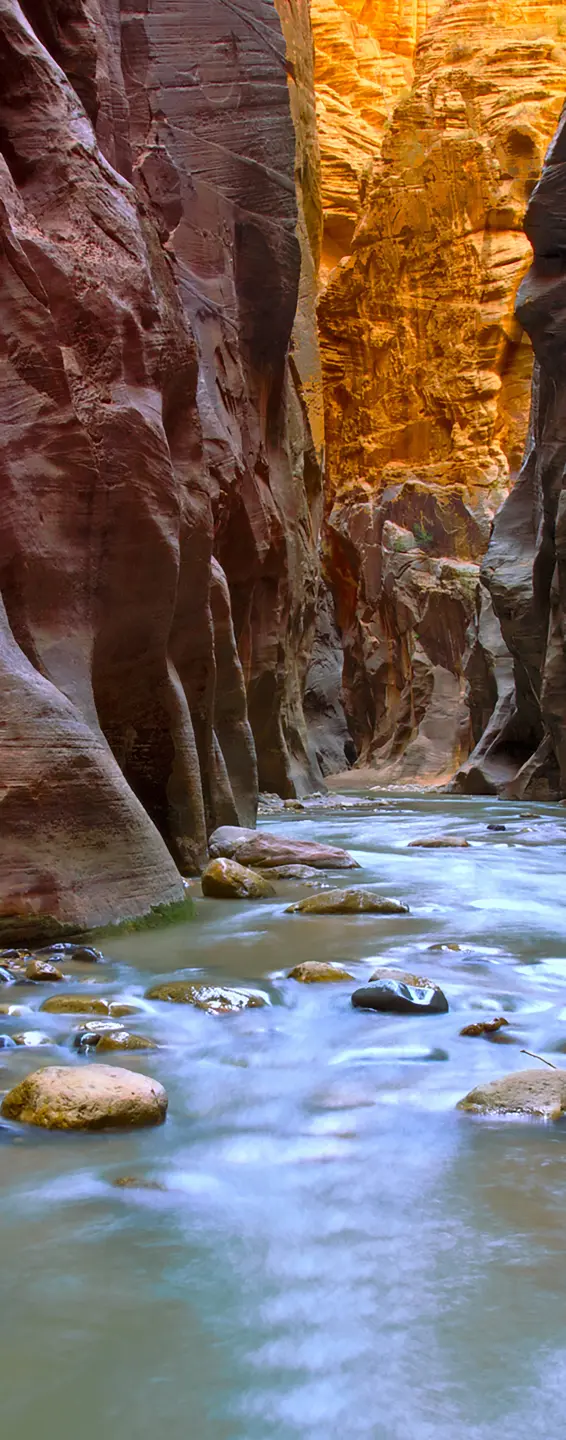 Photo Panneau mural douche NU VIPANEL INSPIRATION NATURE ARIZONA BRI. 1000x2550x3MM