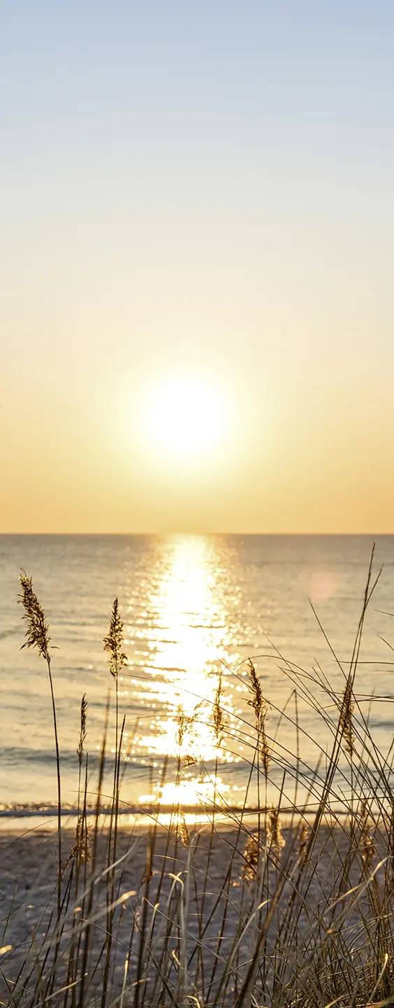 Panneau mural douche VIPANEL INSPIRATION NATURE LEVER SOL BRI. 1000x2550x3MM|Revêtement pour salle de bain