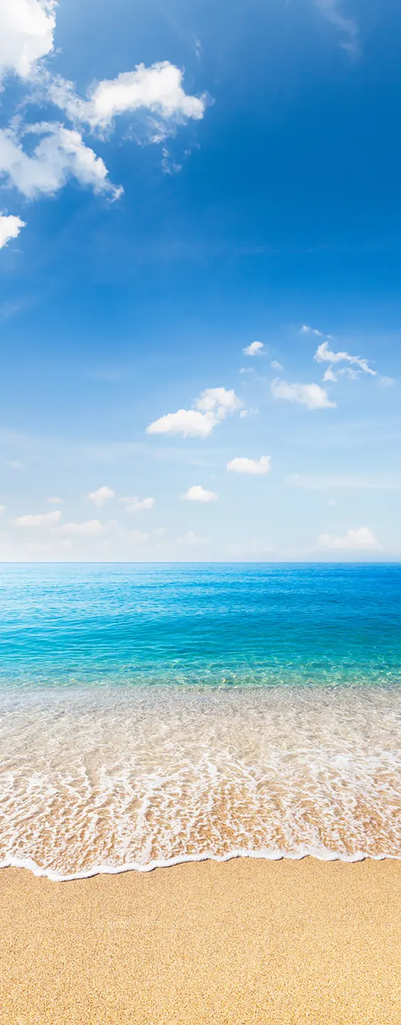 Photo Panneau mural douche NU VIPANEL INSPIRATION NATURE MER 1 BRI. 1000x2550x3MM