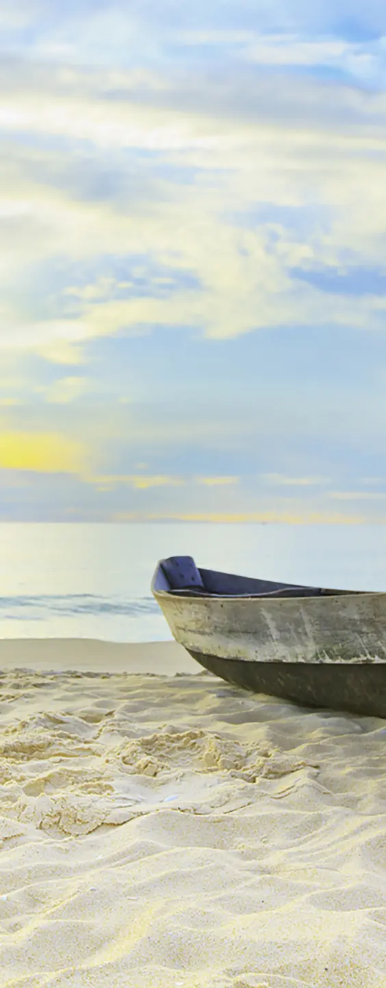 Photo Panneau mural douche NU VIPANEL INSPIRATION NATURE BATEAU PÊC BRI. 1000x2550x3MM